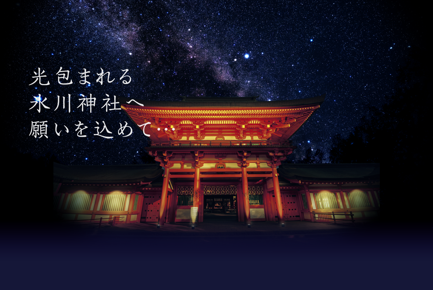 光包まれる氷川神社へ願いを込めて…