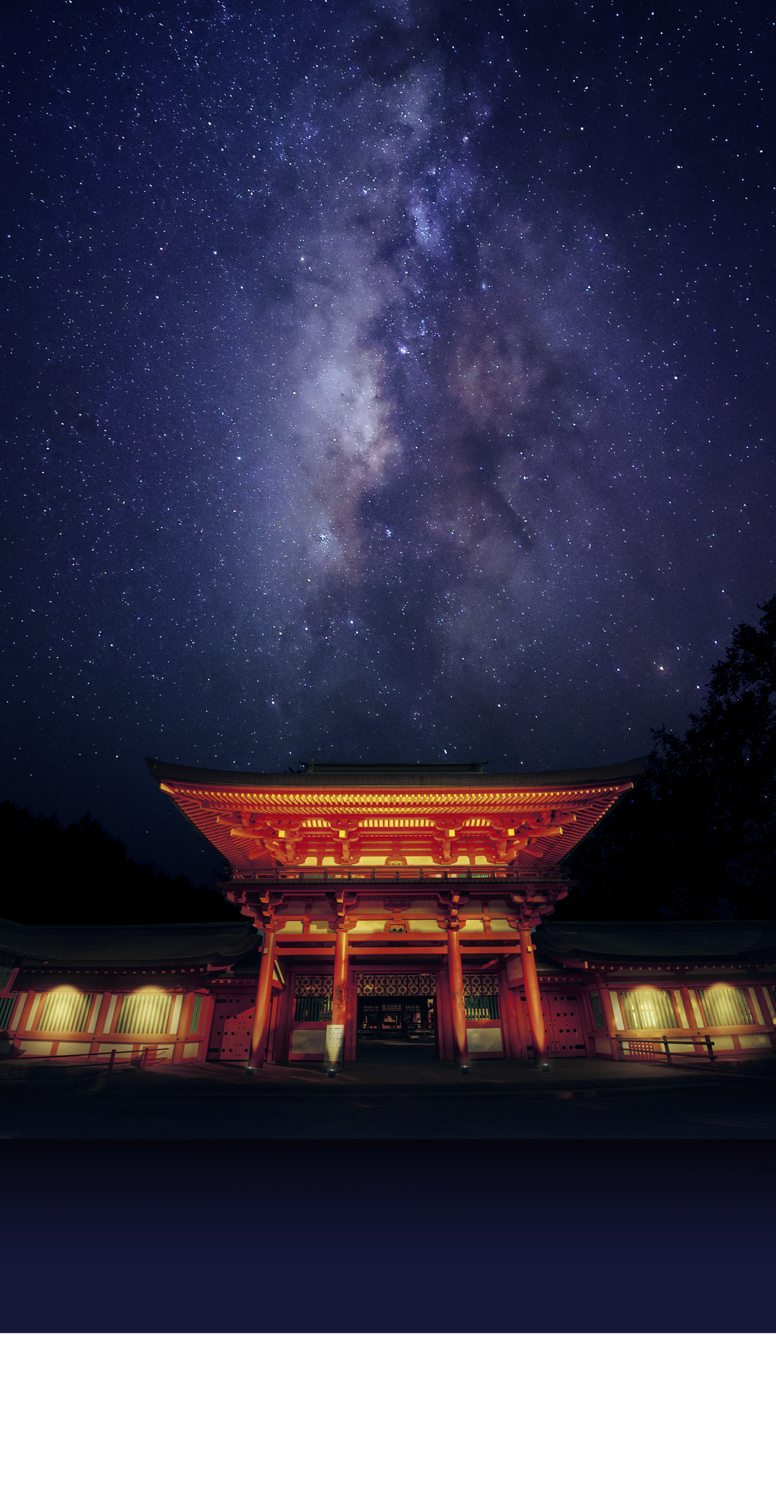 氷川神社の夜景